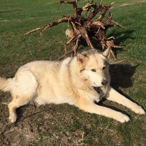 Meet your Posher, Diana